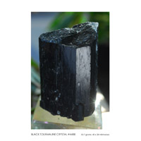 black tourmaline crystal #4488