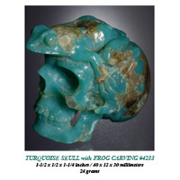 Turquoise Skull & Frog Carving