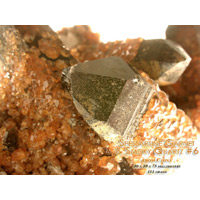 Garnet crystal specimens