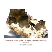 spessartine garnet crystals on quartz