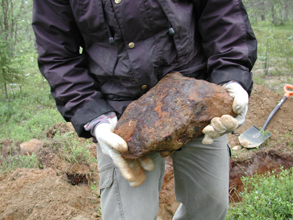 Swedish Meteorite