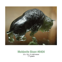 moldavite bison