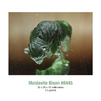 moldavite bison