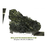 Moldavite Rhino