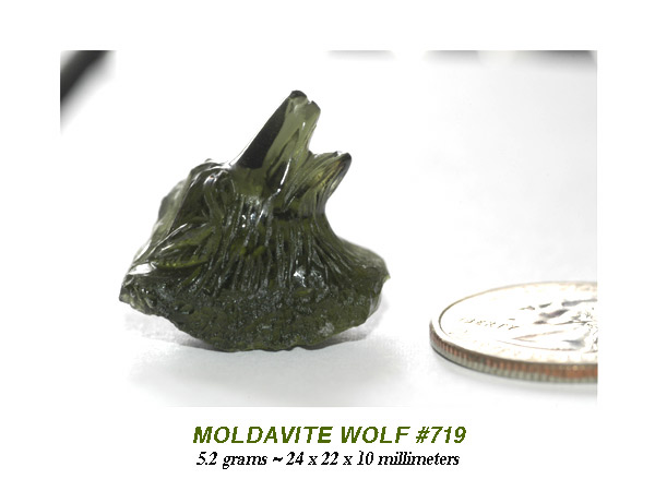 moldavite wolf