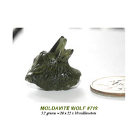 Moldavite Wolf