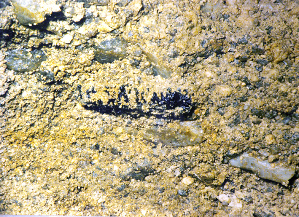 moldavite in situ