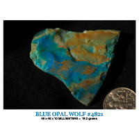 Andes Blue opal wolf