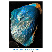 Andes Blue opal eagle