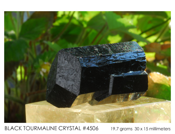Tourmaline Crystal from Brazil