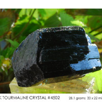 black tourmaline crystal #4502