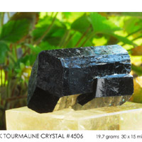 black tourmaline crystal #4506