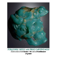 Turquoise Skull & Frog Carving