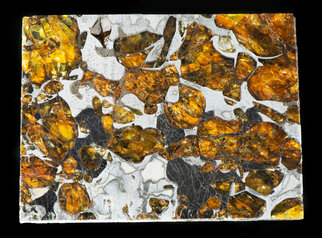 seymchan-pallasite-meteorite-1445